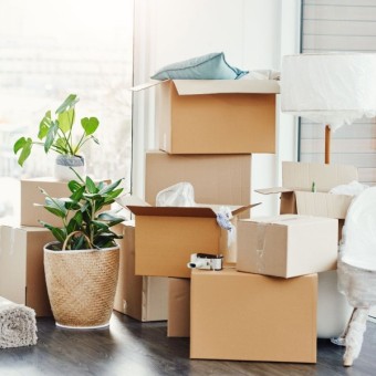 Kleine Umzüge in Lübeck - Hausmeisterdienst Ralls